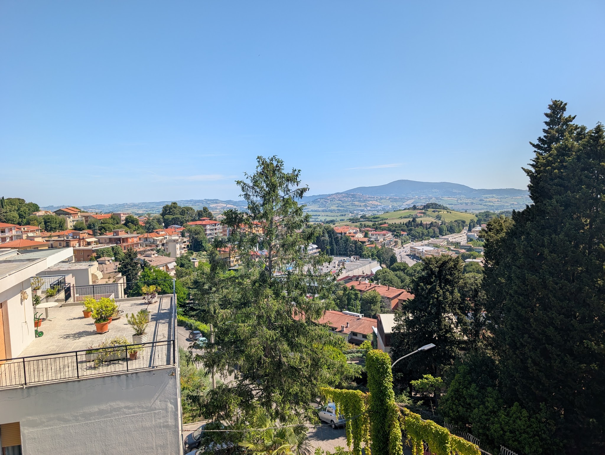 Paesaggio verde e collinare di Osimo