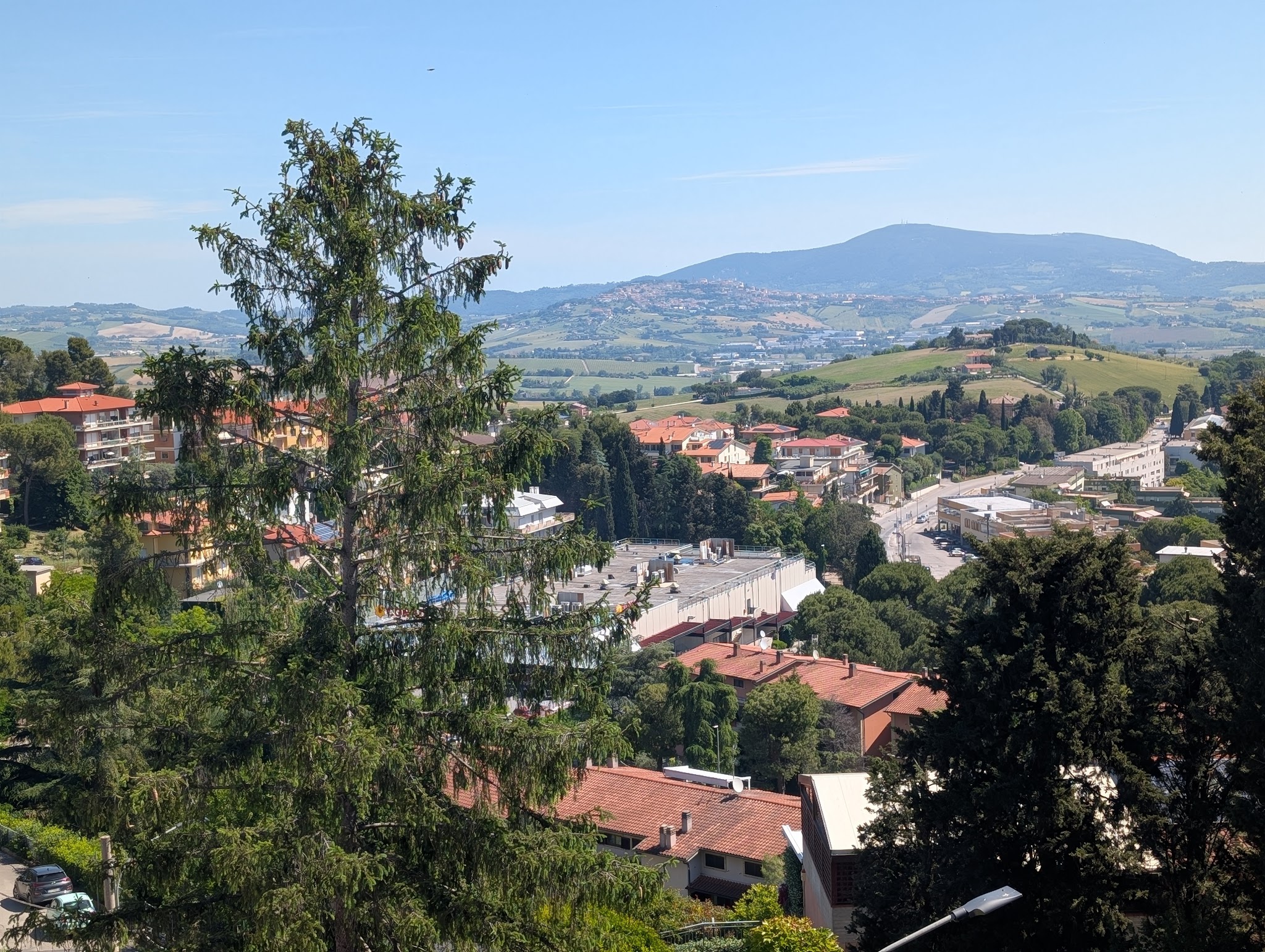 Panorama collinare del territorio di Osimo